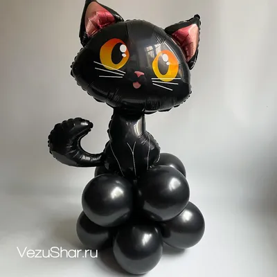 Черная кошка - происхождение, породы, суеверия | Мир домашних животных |  Дзен