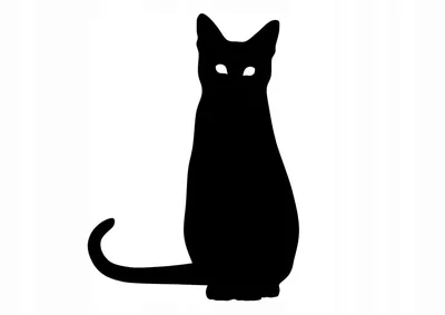 черная кошка бежит по окрестностям, вид сзади на убегающую черную кошку, Hd  фотография фото, кошка фон картинки и Фото для бесплатной загрузки