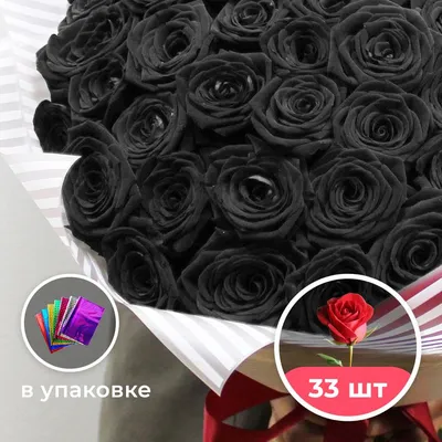 dᴀrᴋ rᴏsᴇs🥀 | Черные розы, Фиолетовые розы, Черная роза