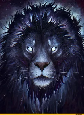 Мультяшный рисованной линии черный лев иллюстрации PNG , король лев, лев,  животное PNG картинки и пнг PSD рисунок для бесплатной загрузки