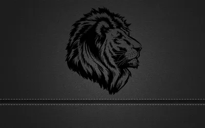 Чёрный лев - Single - Album by RLC Clan - Apple Music