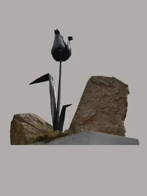 Чёрный тюльпан, натуральный, …» — создано в Шедевруме