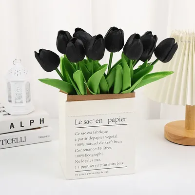 Чёрный тюльпан скачать фото обои для рабочего стола