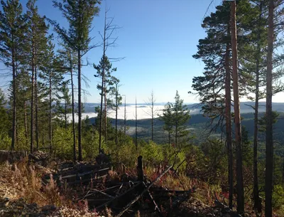 Чернышковское городское поселение - Главная