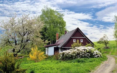 Чехи снова покупают дачи и загородные дома, цены стабилизировались