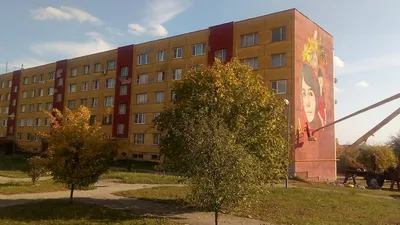 Жилье с личной башней для хозяина\". Белорус вернулся из Чехии, чтобы  строить здесь концептуальные дома, и теперь продает один из них за $225  тысяч — последние Новости на Realt
