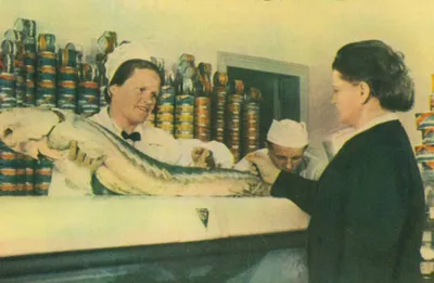 Как появился рыбный четверг в СССР - история, фото