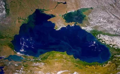 Черноморское побережье совершенно безопасное – глава администрации туризма  Грузии - 04.07.2023, Sputnik Грузия