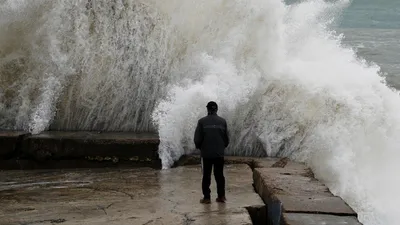 Чёрное море названо самым полезным. Объясняем, почему