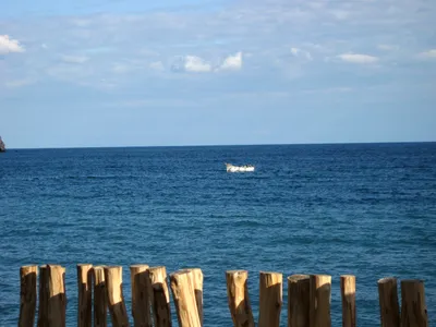 Какие интересные факты о Черном море могли не знать жители и гости курорта