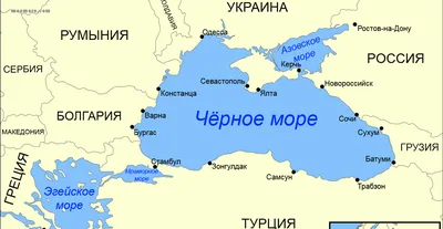 Зеленое и со стволами деревьев в воде: как выглядит Черное море возле  Одессы (фото, видео). Читайте на UKR.NET
