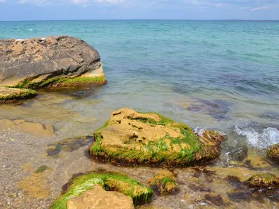 Двух человек на надувном матрасе унесло в Черное море под Анапой — РБК