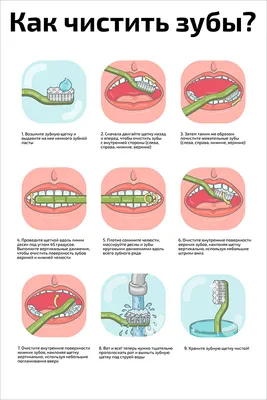 Как правильно чистить зубы ребенку: пошаговая инструкция от педиатров для  детей разного возраста с видео