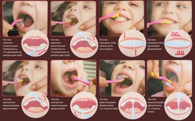 Как правильно чистить зубы ребёнку | Блог бренда \"Принцесса\"