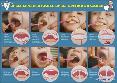 Треть детей в возрасте до 12 лет отказывается чистить зубы перед сном -  DENTALMAGAZINE.RU