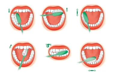 Как чистить зубы детям – статьи Ирригатор Бай
