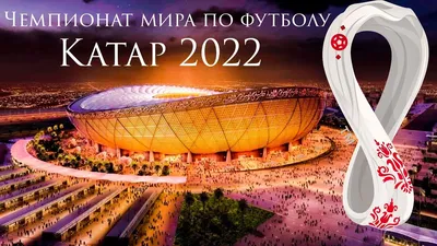 Где смотреть финал чемпионата мира по футболу 2022 Аргентина – Франция -  FanDay