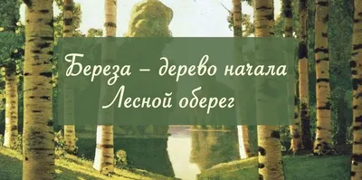 Подготовка к зиме: как сделать домик и кормушку для белок / Новости города  / Сайт Москвы