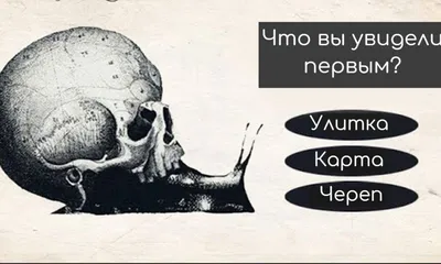 10 психологических тестов по картинкам.:\"Что вы увидели первым?\" — Рояль в  кустах (Mи Lа) — NewsLand