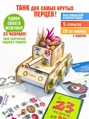 Подарок на 23 февраля для мальчика 6-8 лет — Как выбрать и не ошибиться?