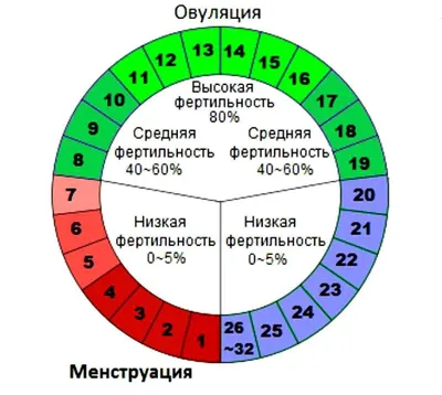 Новые угрозы жизни и здоровью человека в современном мире. Часть 2. |  Экологическое супружество