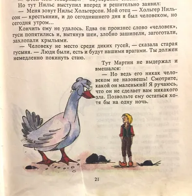 Чудесное путешествие Нильса с дикими гусями. Свыше 100 иллюстраций - купить  по выгодной цене | Издательство «СЗКЭО»