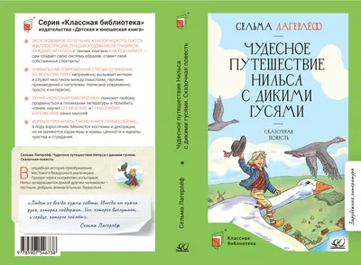 Борис Диодоров \"Чудесное путешествие Нильса с дикими гусями\" | Иллюстратор,  Художники, Дикие