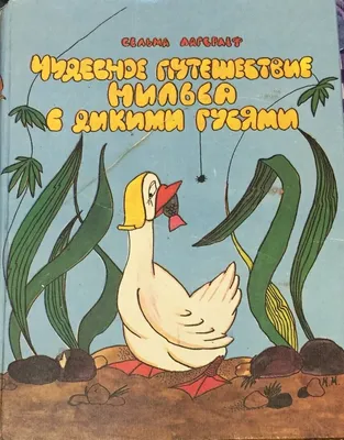 Борис Диодоров «Чудесное путешествие Нильса с дикими гусями» — Картинки и  разговоры