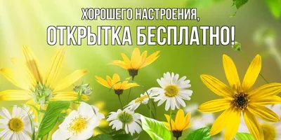 Красивая картинка с приветом и хорошего настроения