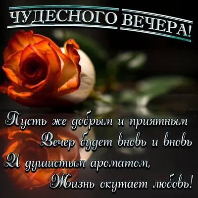 Чудесного вечера, хорошего отдыха, прекрасного ... - ПРИВЕТСТВИЯ и  ПОЖЕЛАНИЯ, открытки на каждый день., №2577432614 | Фотострана – cайт  знакомств, развлечений и игр