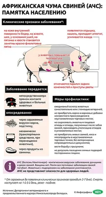 Чума Врач — стоковая векторная графика и другие изображения на тему  Бубонная чума - Бубонная чума, Врач, Эпидемия - iStock