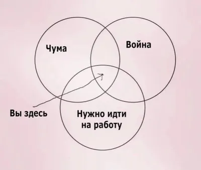 Вспышку бубонной чумы зафиксировали в Монголии - что это за недуг