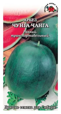 База отдыха «Чунга-Чанга» Мурманск Мурманская область: цены на проживание,  отзывы туристов, адрес на карте и контакты - снять жилье на сайте Турбаза.ру