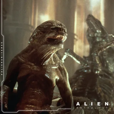 Плакат \"Чужой против Хищника, Alien vs Predator\", 43×60см (ID#773290888),  цена: 190 ₴, купить на Prom.ua