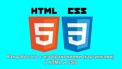 CSS Flexbox - шпаргалка по свойствам, основные принципы работы