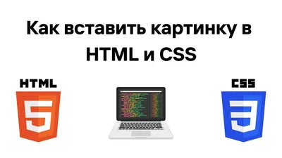 Как вставить картинку в HTML и CSS - YouTube