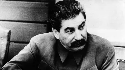 Да пошел ты товарищ Сталин на». Как Вождь поступил с генералом, который  обложил его матом | Это же История | Дзен