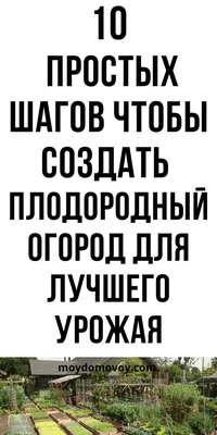 Сад своими руками моя любимая дача 2024 | ВКонтакте