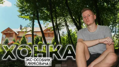 Там явно кто-то другой живет»: в соцсети показали «дом-дачу Януковича» в  Донецке | DonPress.com