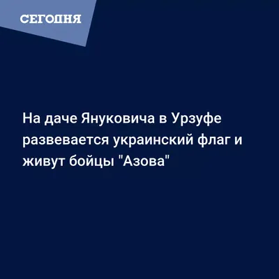 Неизвестные разграбили дачу Януковича на Азовском море — Политика