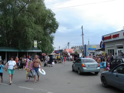 Спортивную куртку Януковича с его дачи в Урзуфе выставили на аукцион (Фото)  | ОстроВ