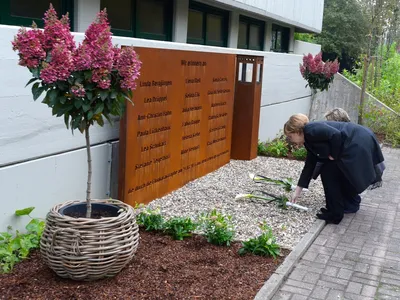 Оценены шансы возвращения Меркель в политику при отставке Шольца: Политика:  Мир: Lenta.ru