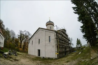 Меркель дала показания по делу о крупнейшем мошенничестве в истории  Германии - Газета.Ru