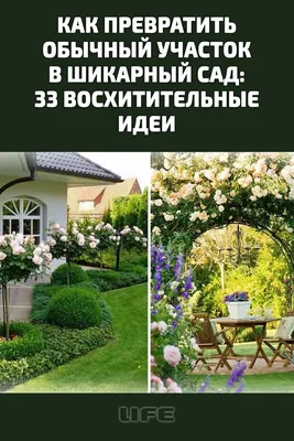 Вместо дачи — в парк Горького: на лето там откроется «Общественный огород»  - Москвич Mag