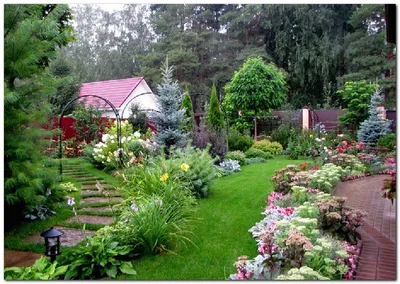 Полезные советы для дачи и огорода: 17 хитростей для садоводов | ivd.ru