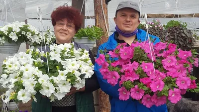 Выставка «Дача. Сад. Огород» в Калининграде, апрель 2017