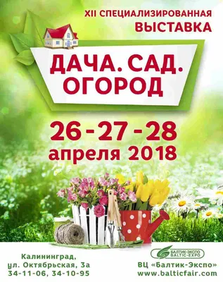 В Тюменской области пройдет традиционная выставка «Дача. Сад. Огород. Свой  дом» - KP.RU