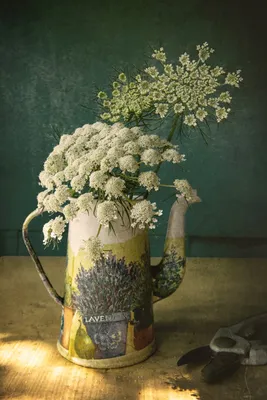 Фотоклипарт на тему ухода за садом (цветы, лейка, полив цветов) — Abali.ru
