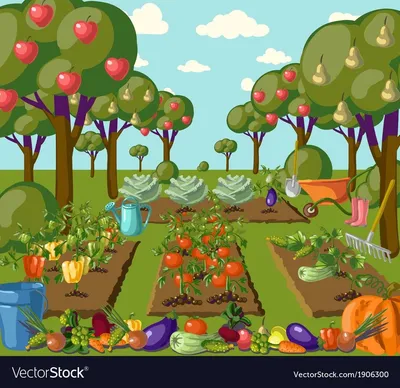 Дача, сад и огород 🥕 - YouTube