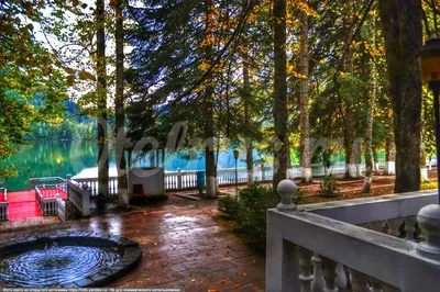 Почему дача Сталина построена на озере Рица? На территории Абхазии  насчитывается 5 загородных домов вождя народа Иосифа Виссарионовича… |  Instagram
